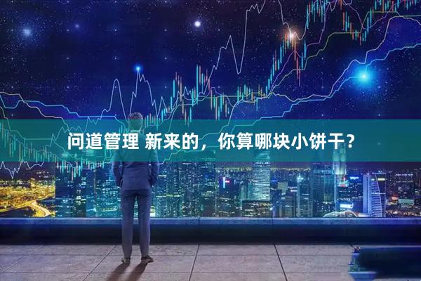 问道管理 新来的，你算哪块小饼干？