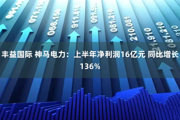 丰益国际 神马电力：上半年净利润16亿元 同比增长136%